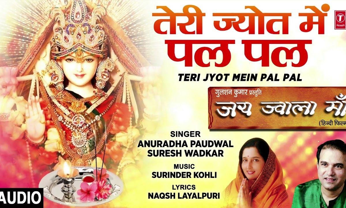 तेरे ज्योत में पल पल मैंने तेरा किया नजारा | Lyrics, Video | Durga Bhajans