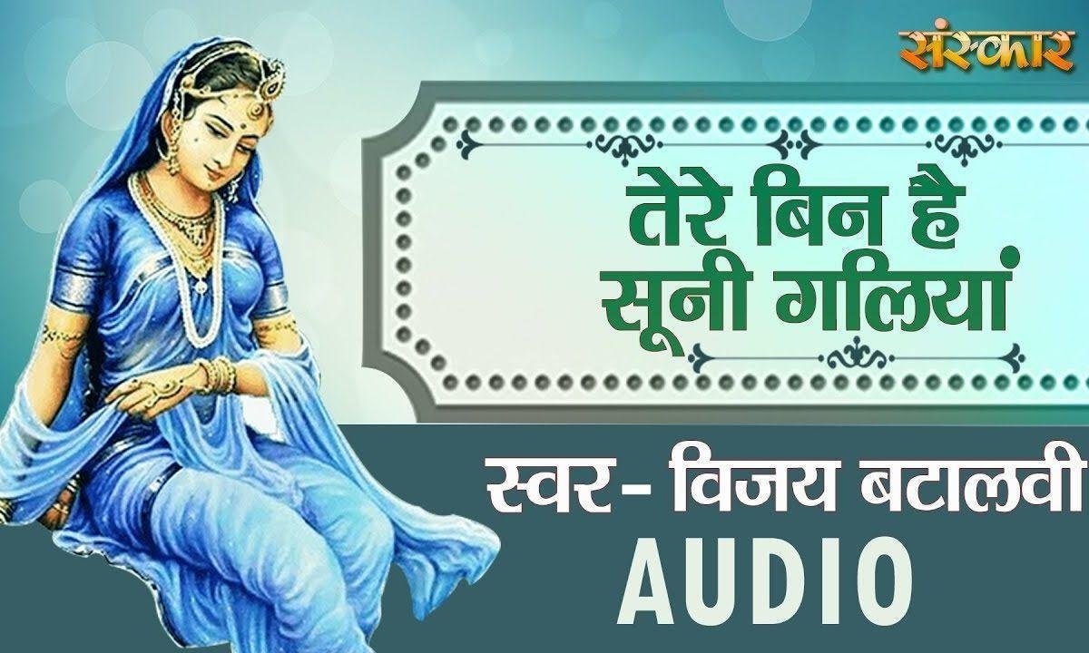 तेरे बिन है सुनी गलियां सुना ब्रिज का धाम | Lyrics, Video | Krishna Bhajans