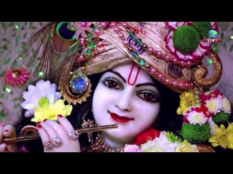 कान्हा तेरी मुरली के हम है दीवाने | Lyrics, Video | Krishna Bhajans