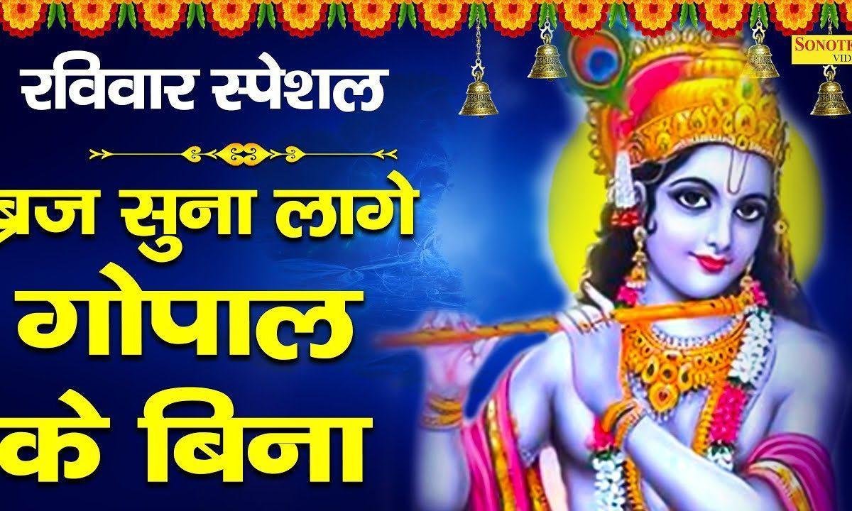 बृज सूना सूना लागे रे | Lyrics, Video | Krishna Bhajans