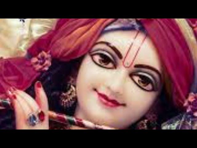 सुन नाथ अरज़ अब मेरी मैं शरण पड़ा प्रभु तेरी | Lyrics, Video | Krishna Bhajans