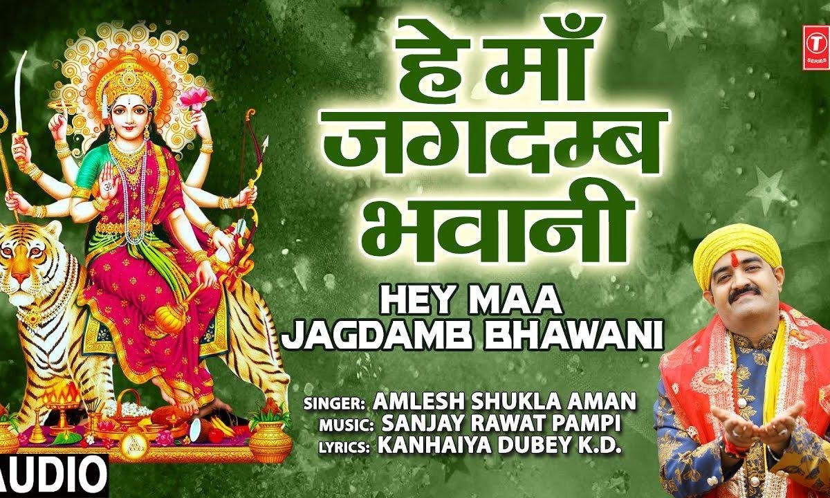 हे माँ जगदम्बे भवानी विनती करू मैं बारम बार | Lyrics, Video | Durga Bhajans