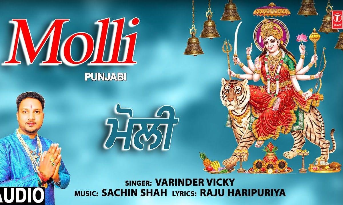 मैया ने बड़े भाग लाये ने | Lyrics, Video | Durga Bhajans