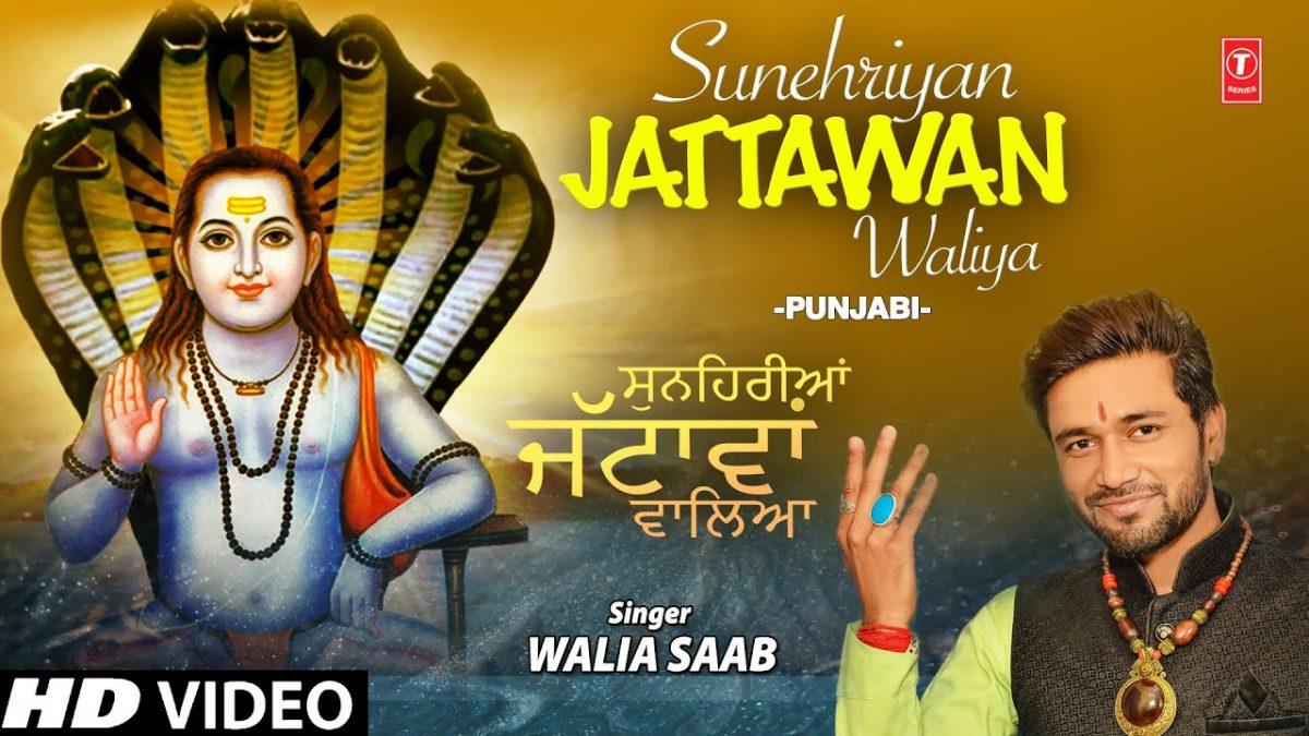 सुनेहरीया जटावा वालेया | Lyrics, Video | Baba Balak Nath Bhajans