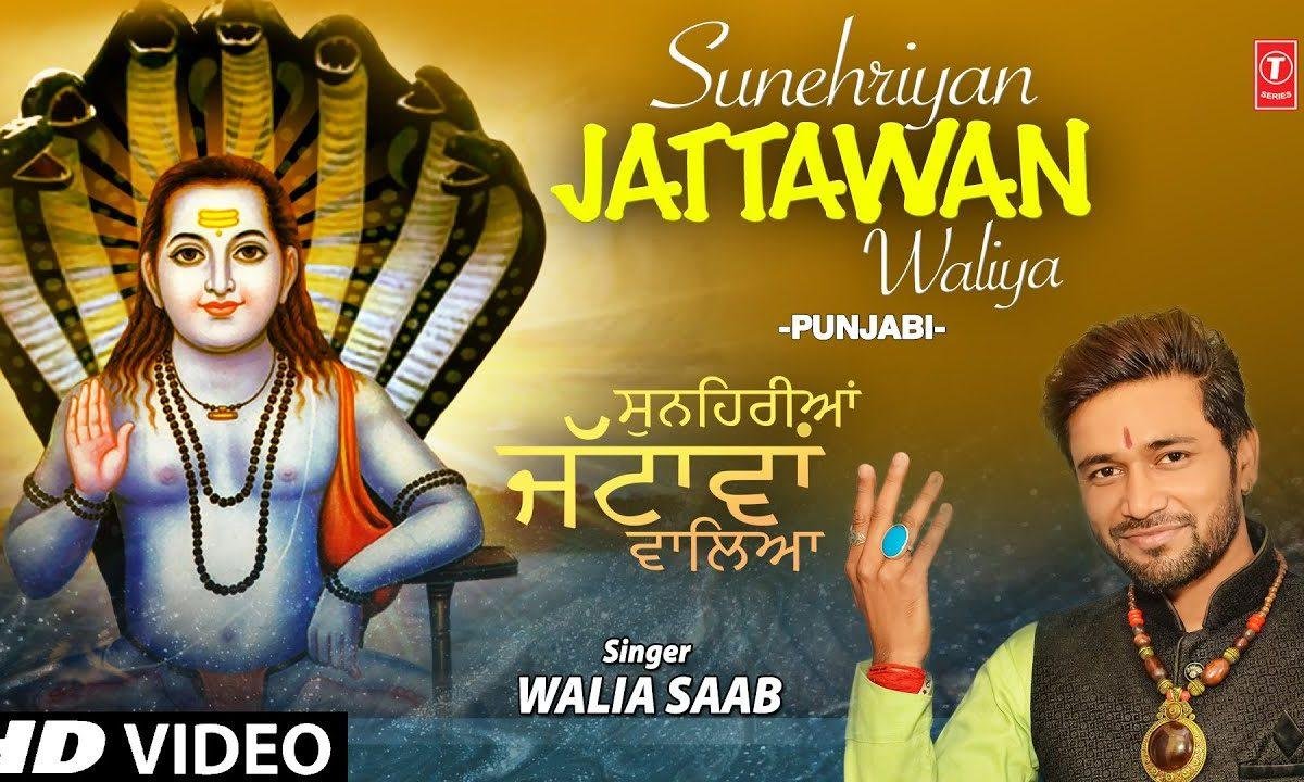 सुनेहरीया जटावा वालेया | Lyrics, Video | Baba Balak Nath Bhajans