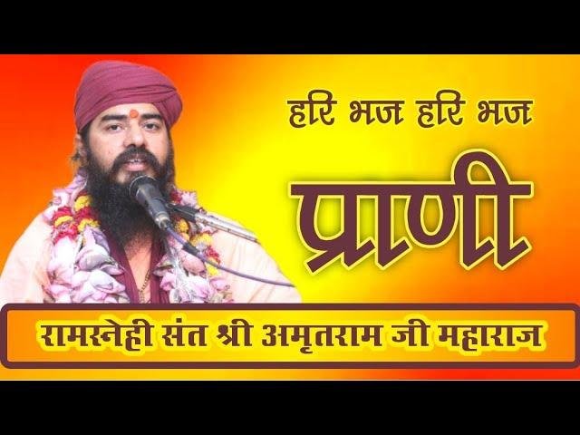 हरि भज हरि भज हरि भज प्राणी भजन Lyrics, Video, Bhajan, Bhakti Songs