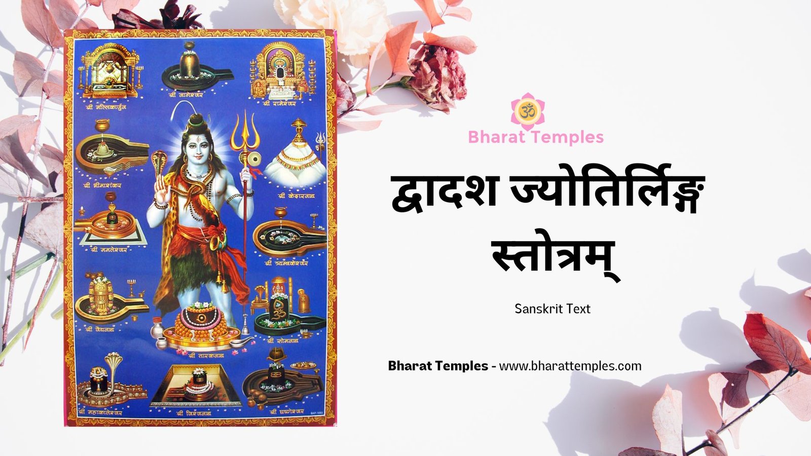 द्वादश ज्योतिर्लिङ्ग स्तोत्रम् (Sanskrit Text)
