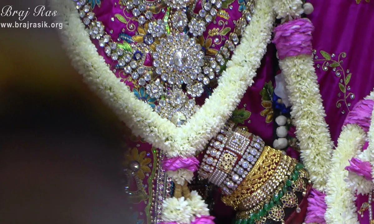 झूला झुलत बिहारी वृंदावन में भजन Lyrics, Video, Bhajan, Bhakti Songs